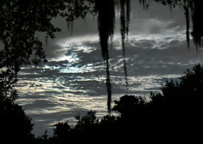 Timberwood Ocala FL